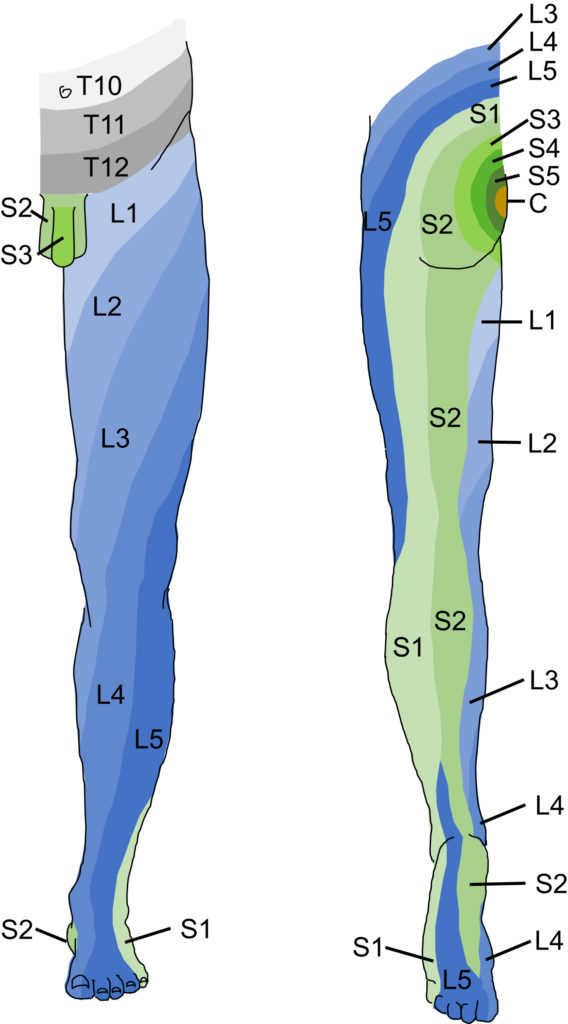 dermatomes membre inférieur jambe
Etiopathie Genève Etiopathie genève Etiopathie Geneve Etiopathie geneve
Étiopathie Genève Étiopathie genève Étiopathie Geneve Étiopathie geneve
etiopathie Genève etiopathie genève etiopathie Geneve etiopathie geneve
étiopathie Genève étiopathie genève étiopathie Geneve étiopathie geneve
Sciatique Genève Sciatiques Genève Sciatique genève Sciatiques genève Sciatique geneve Sciatiques geneve
sciatique Genève sciatiques Genève Sciatique genève sciatiques genève sciatique geneve sciatiques geneve
Sciatalgie Genève Sciatalgies Genève Sciatalgie genève Sciatalgies genève Sciatalgie geneve Sciatalgies geneve
sciatalgie Genève sciatalgies Genève sciatalgie genève sciatalgies genève sciatalgie geneve sciatalgies geneve