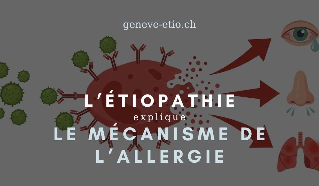 Comprendre l&rsquo;allergie au pollen : le mécanisme immunitaire expliqué | Étiopathe Genève