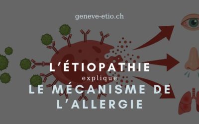 Comprendre l&rsquo;allergie au pollen : le mécanisme immunitaire expliqué | Étiopathe Genève